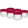 Jednostavna staklenka 235 ml (fi82) s bordo poklopcem 6 kom. ['set staklenki', ' staklenke za kiseljenje', ' staklenke za džemove', ' staklenka s poklopcem', ' staklenke fi 82', ' staklenke s poklopcima 6 kopči', ' staklenke s bordo poklopcima', ' za preradu', ' za konzerviranje', ' za meso', ' staklenka']
