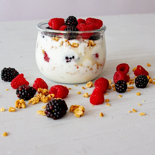 Starter kulture za jogurt - 4