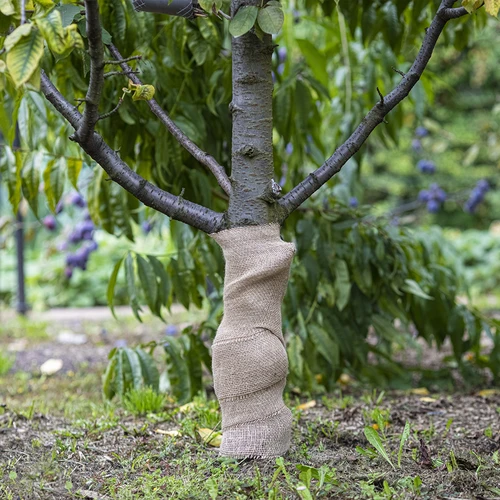 Jutena traka 10 cm/5 m - 5