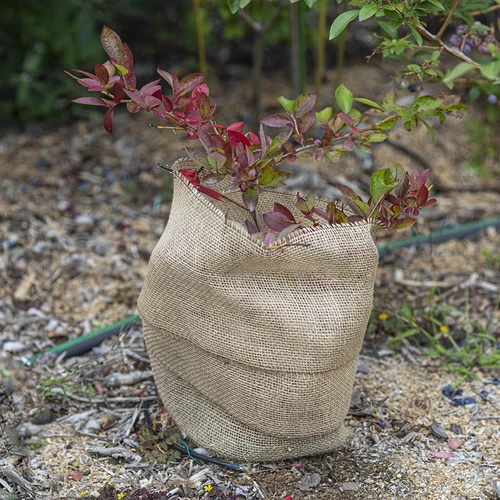 Jutena traka 10 cm/5 m - 6