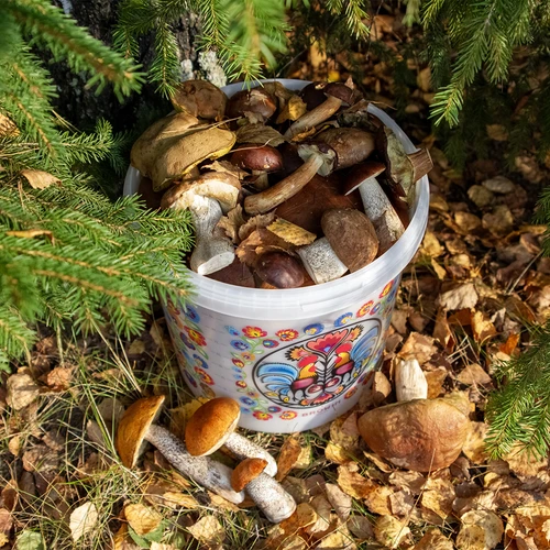 Kanta za hranu GWIOZDA - s poklopcem, 10 L - 10