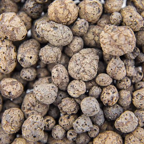 Keramzit za sobne biljke, vrtlarstvo i šume u staklu, 4-10 mm, 1L - 5