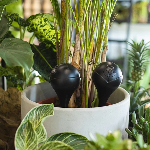 Kugla za navodnjavanje biljaka, crna mat s keramičkom nogom (u pakiranju) 400 ml - 10