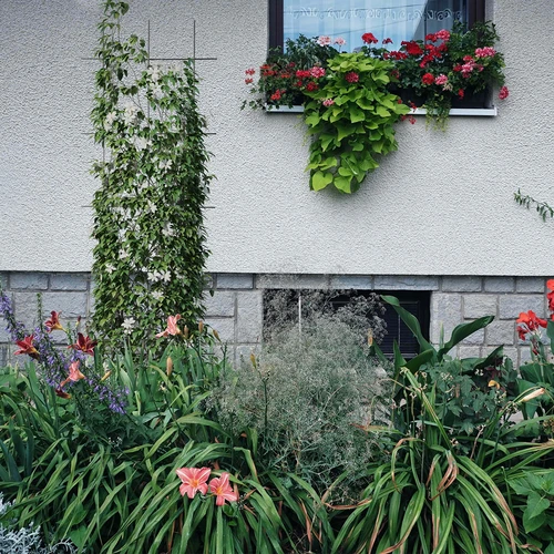Potpora za biljke - rešetka (150cm x 45cm) 3 komada - 4