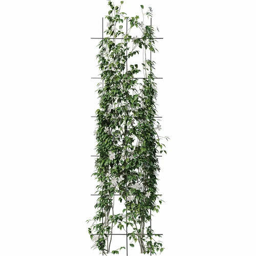Potpora za biljke - vrtna rešetka 150 x 45cm - 3
