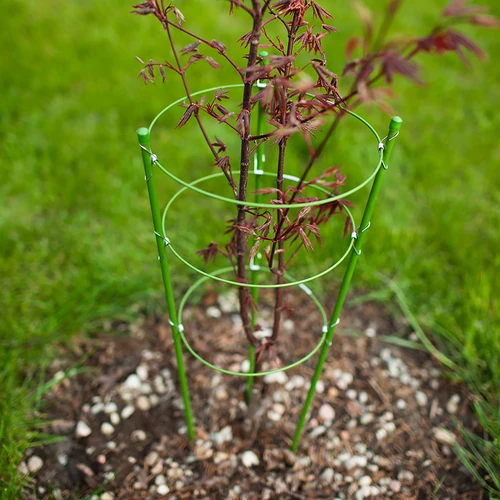 Prstenasta potpora za biljke 3 prstena 1,2m - 3