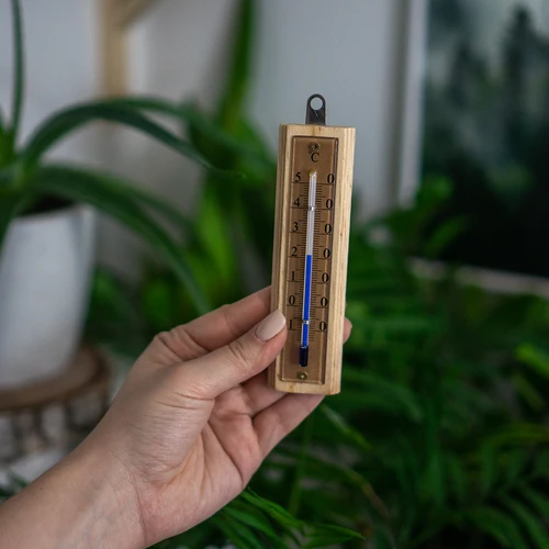 Sobni termometar sa zlatnom skalom (-10°C do +50°C) 12cm - 5