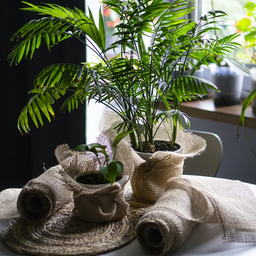 Tkanina od jute 30 cm / 5 m - 9