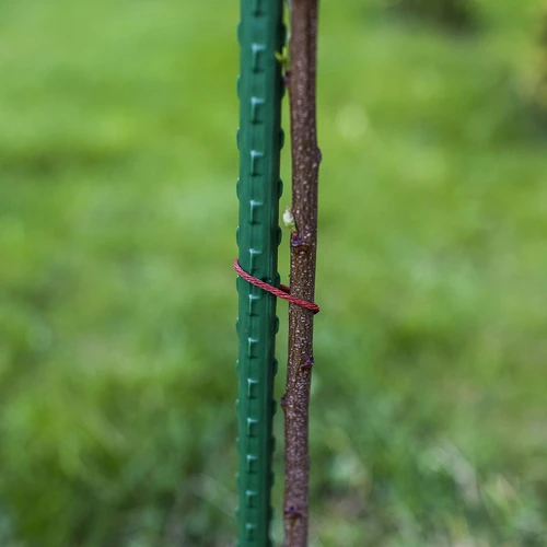 Vrtni kolci Bioogród – obloženi čelik, 1,5 m, fi 11 mm, 10 kom. - 5