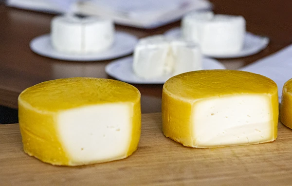 Domaći žuti sir tipa Gouda