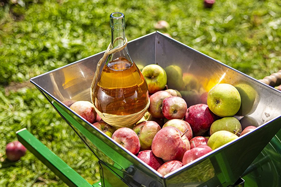 Domaći cider