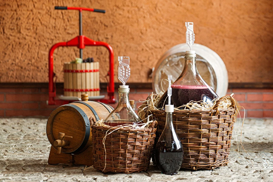 Kako napraviti vino korak po korak?