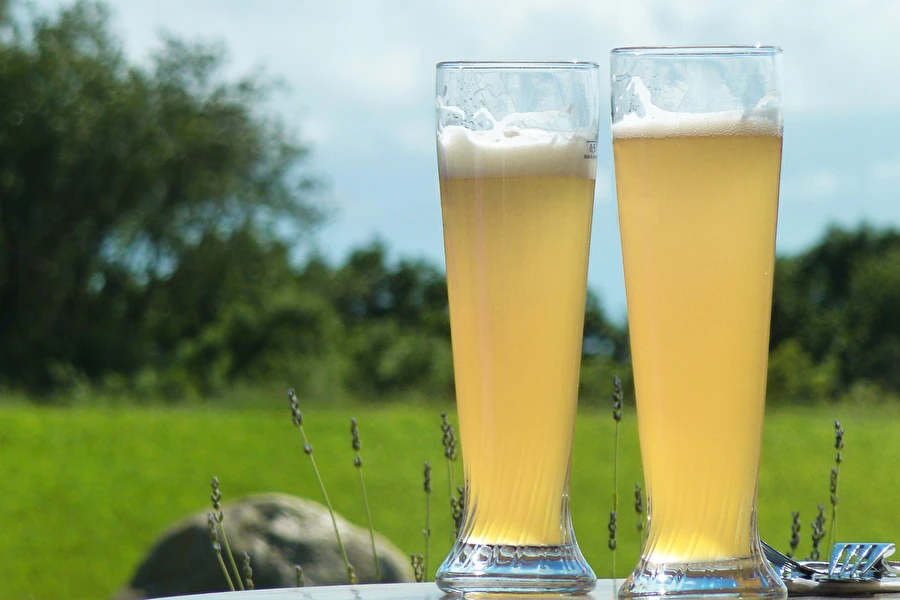 Browin Przepiśnik - Pšenično pivo „Bijelo”